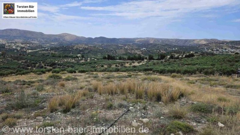 Kamilari Kreta, Kamilari, Grundstück von 4.050m². Grundstück kaufen